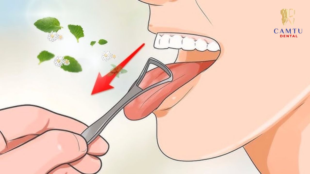 Vệ sinh lưỡi hàng ngày để tránh tích tụ vi khuẩn